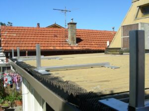 family_basic_faa_ofarrell_elwood_4_ Family Basic