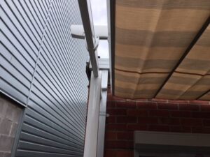 img_5688 Surya Pleated Shade