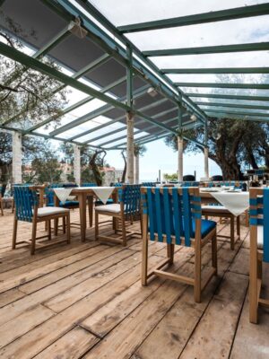 img_harol_vz800-zip_1 Harol VZ800